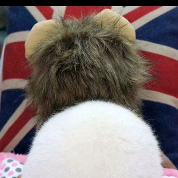 Lion hat for small pets - Picture 4 of 4